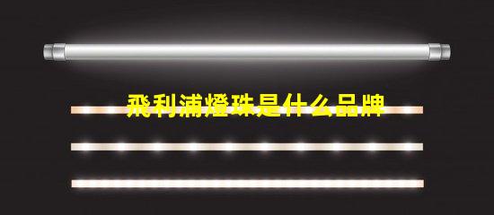 飛利浦燈珠是什么品牌 led燈珠閃爍是什么原因
